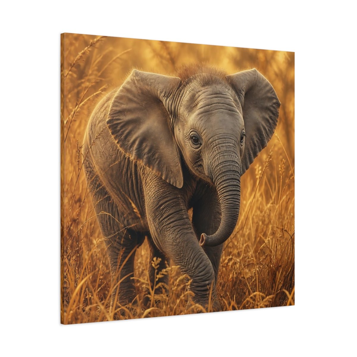 Animals Baby Elephant Golden Canvas Print – realistic Nursery, Feature Wall - YesArtYes