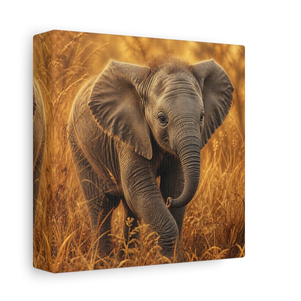 Animals Baby Elephant Golden Canvas Print – realistic Nursery, Feature Wall - YesArtYes