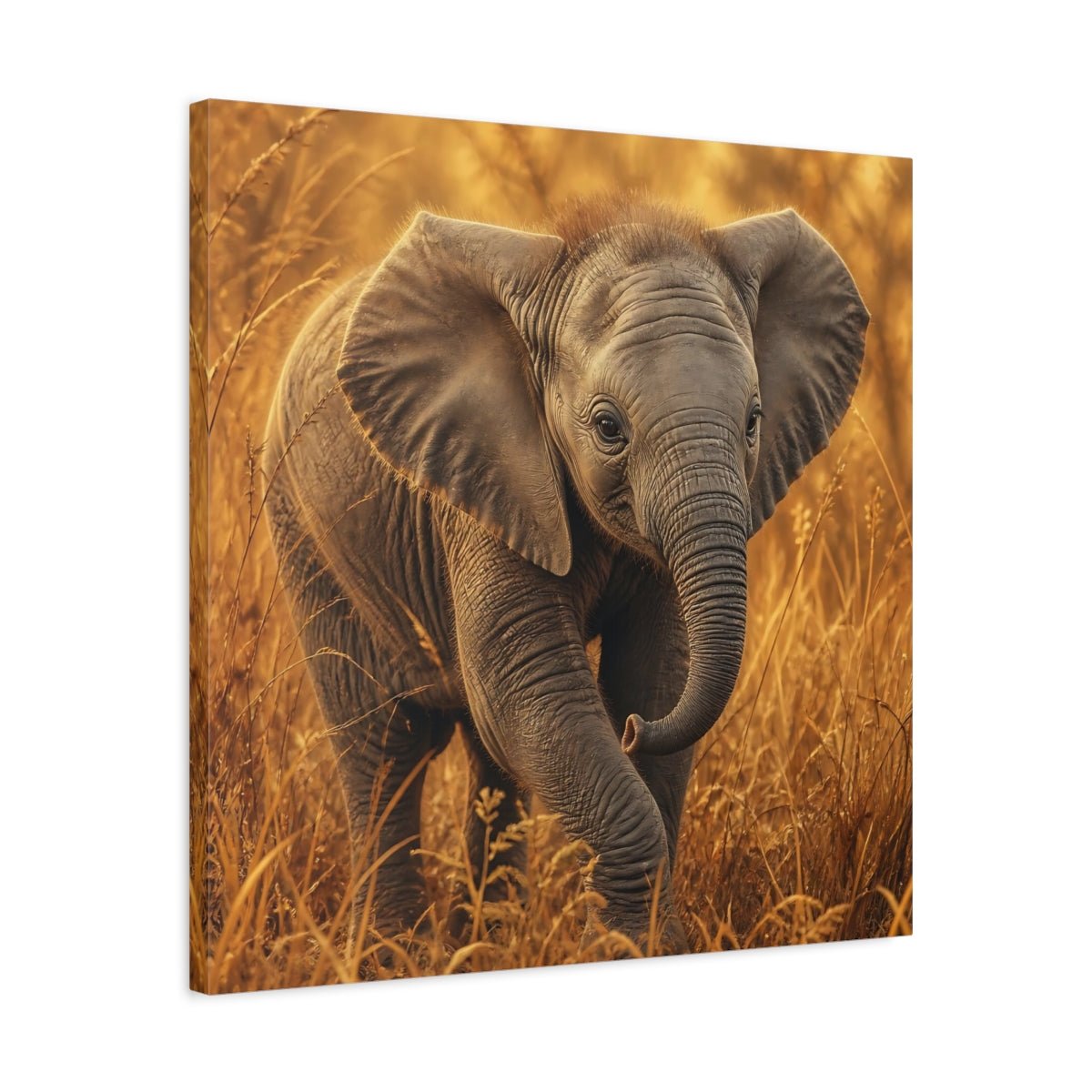 Animals Baby Elephant Golden Canvas Print – realistic Nursery, Feature Wall - YesArtYes
