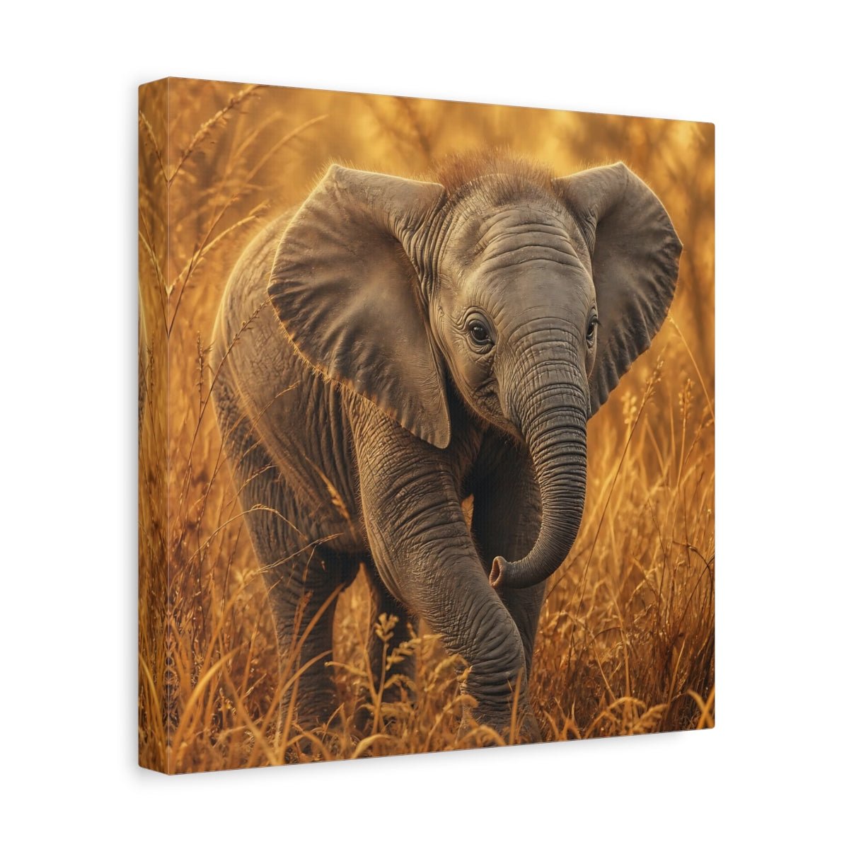 Animals Baby Elephant Golden Canvas Print – realistic Nursery, Feature Wall - YesArtYes