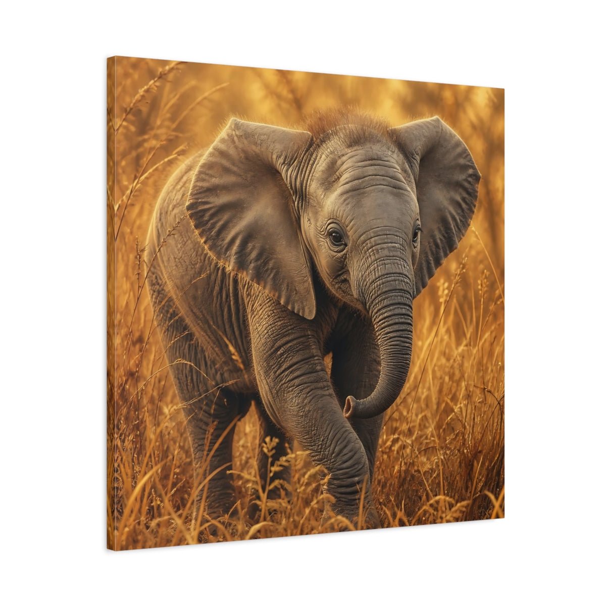 Animals Baby Elephant Golden Canvas Print – realistic Nursery, Feature Wall - YesArtYes