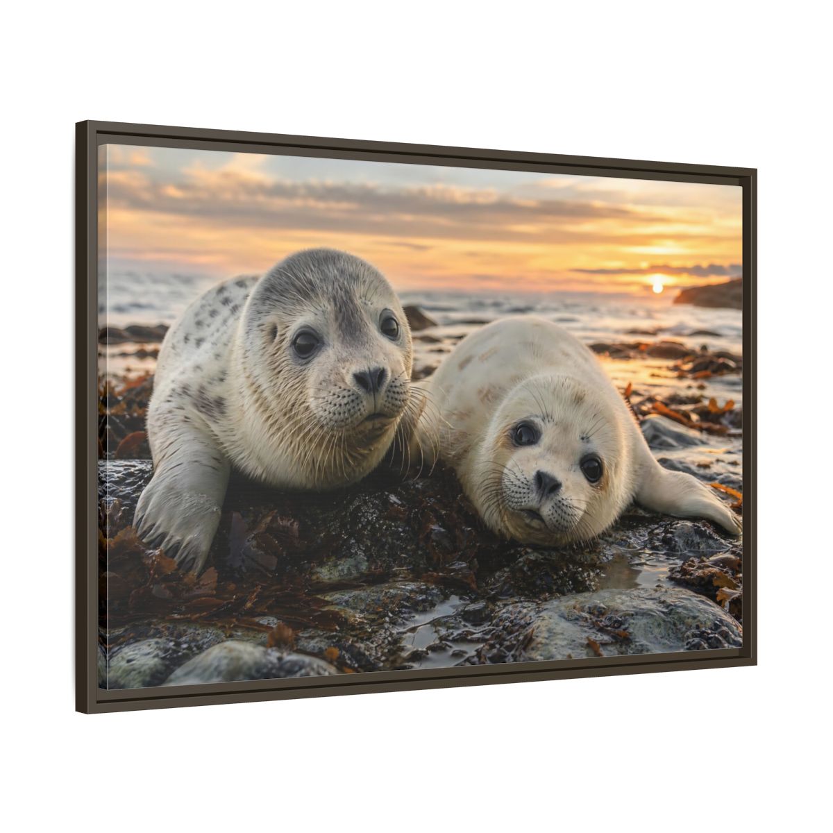 Main Mockup. Animals Baby Seals Baby Seals Sunset shown as stretched canvas wall art