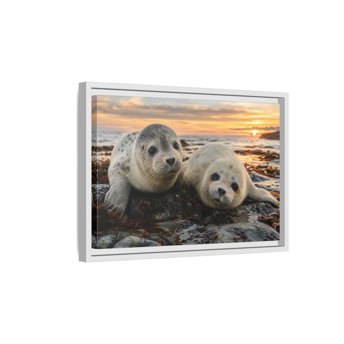 Side Mockup 4. Animals Baby Seals Baby Seals Sunset shown as stretched canvas wall art