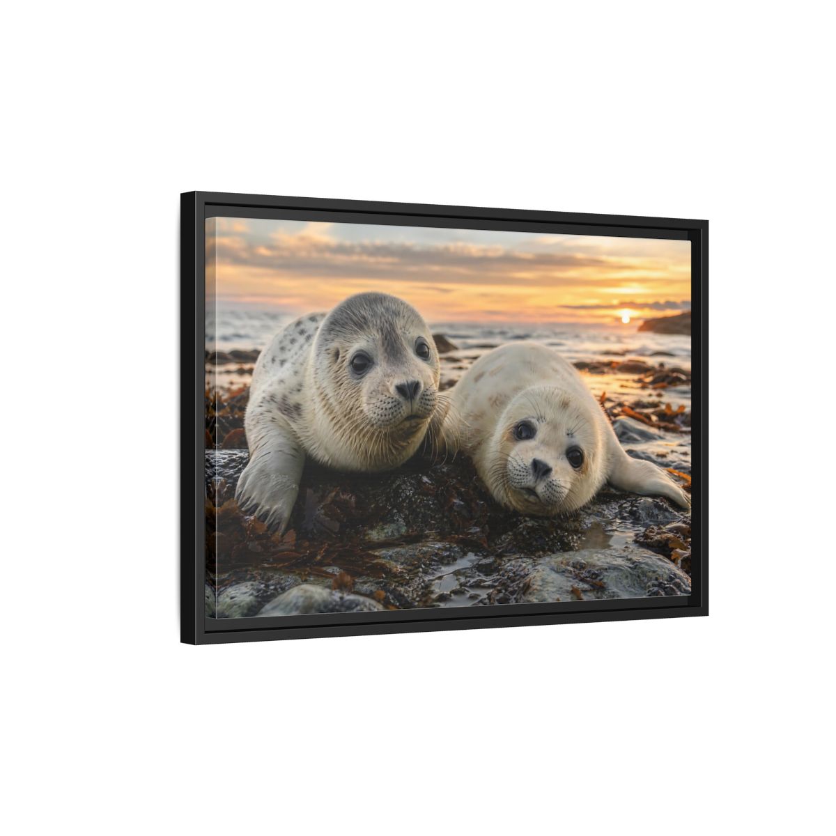 Side Mockup 3. Animals Baby Seals Baby Seals Sunset shown as stretched canvas wall art