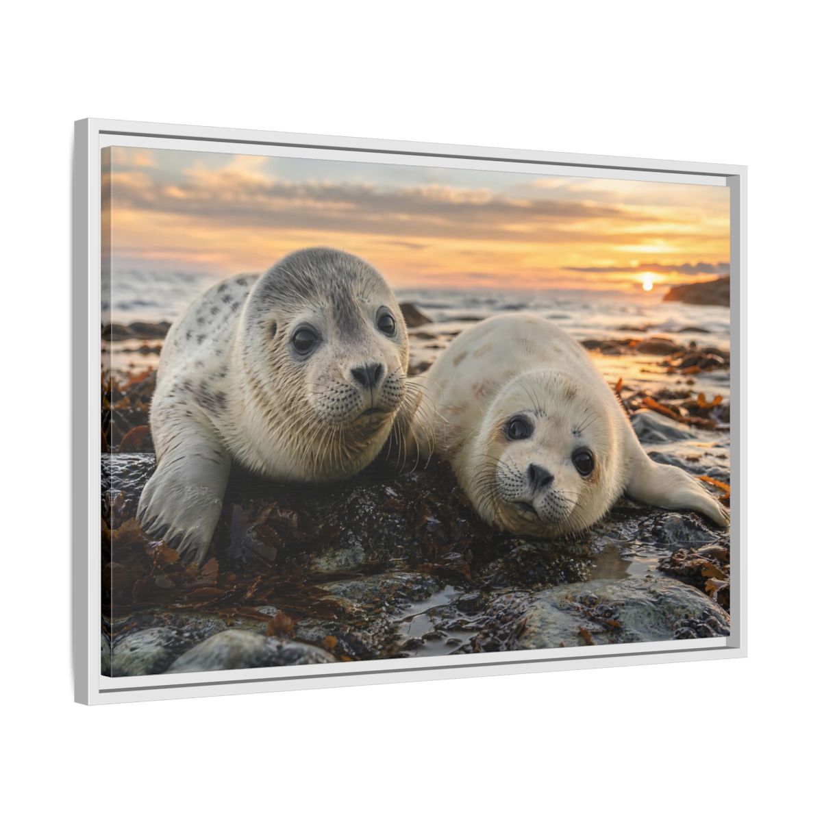 Side Mockup 10. Animals Baby Seals Baby Seals Sunset shown as stretched canvas wall art