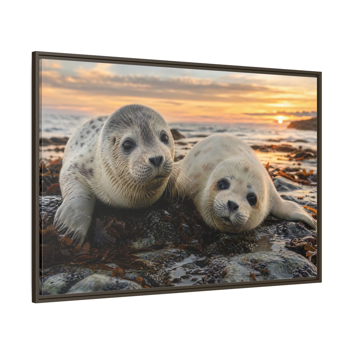 Side Mockup 8. Animals Baby Seals Baby Seals Sunset shown as stretched canvas wall art