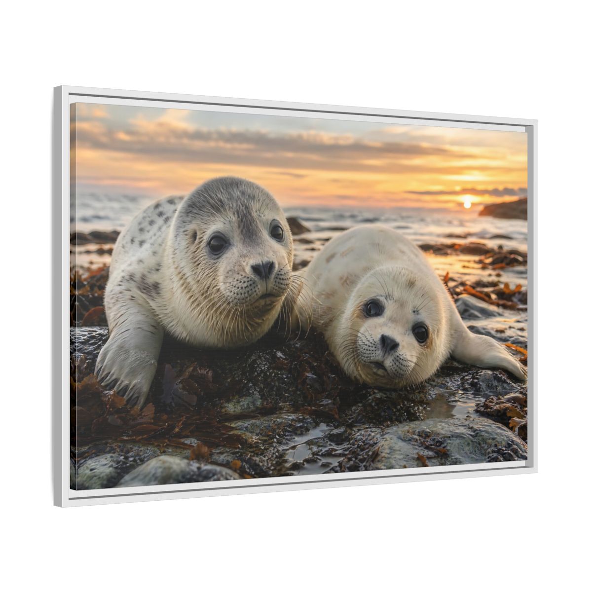 Side Mockup 9. Animals Baby Seals Baby Seals Sunset shown as stretched canvas wall art
