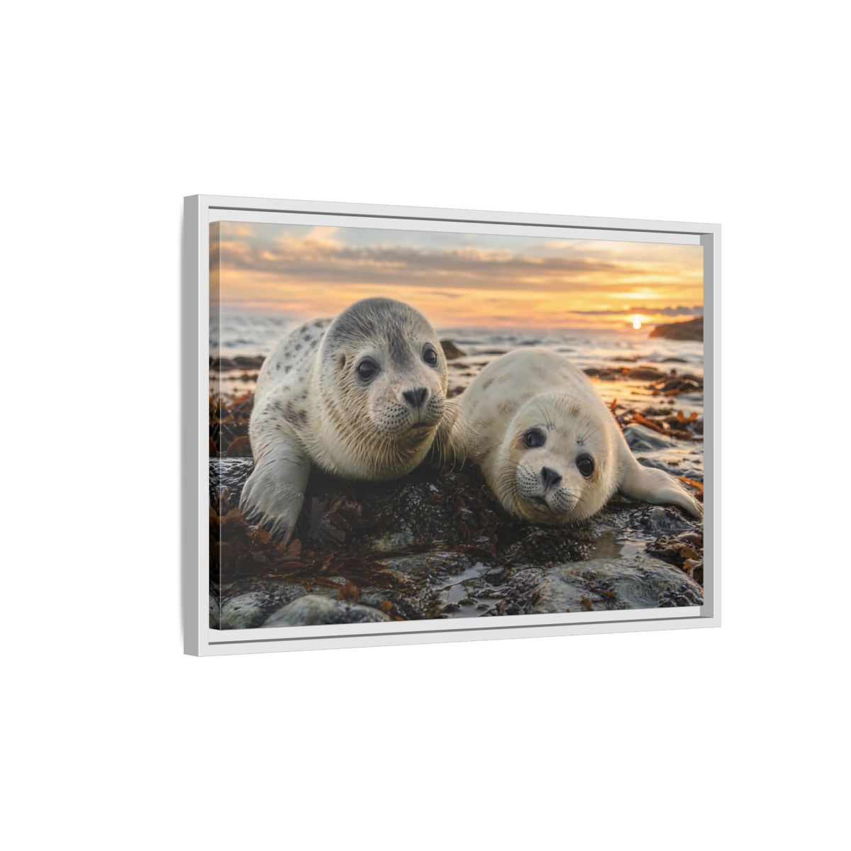 Side Mockup 1. Animals Baby Seals Baby Seals Sunset shown as stretched canvas wall art