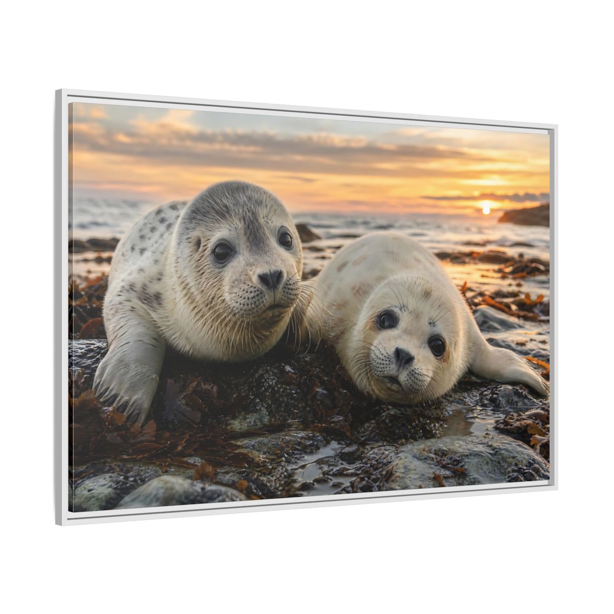 Side Mockup 7. Animals Baby Seals Baby Seals Sunset shown as stretched canvas wall art