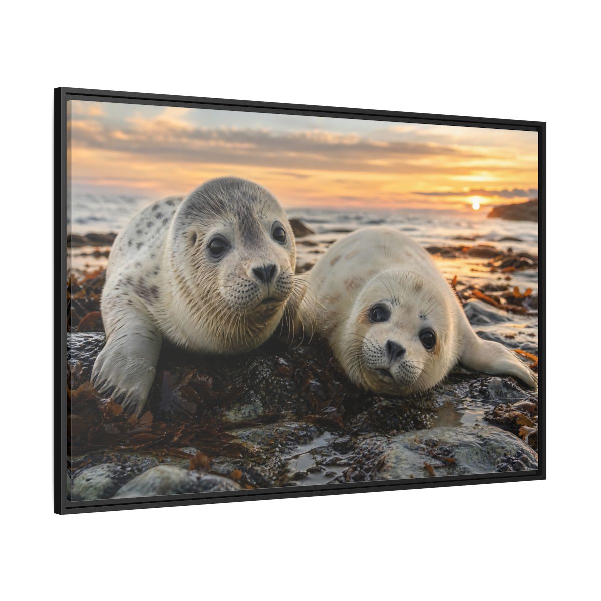 Side Mockup 12. Animals Baby Seals Baby Seals Sunset shown as stretched canvas wall art