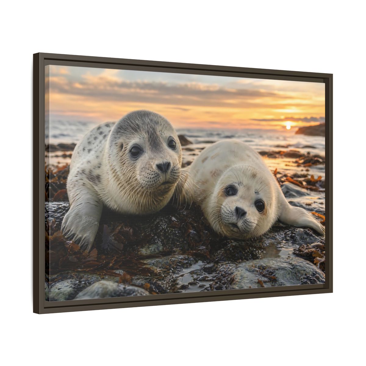 Side Mockup 11. Animals Baby Seals Baby Seals Sunset shown as stretched canvas wall art