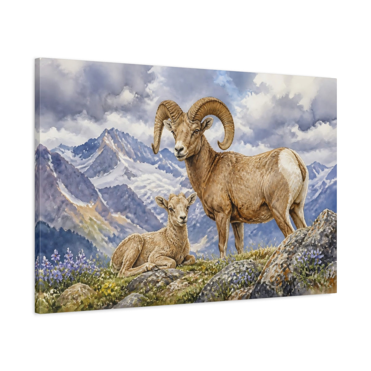 Main Mockup. Animals Bighorn Sheep In Alps shown as canvas print