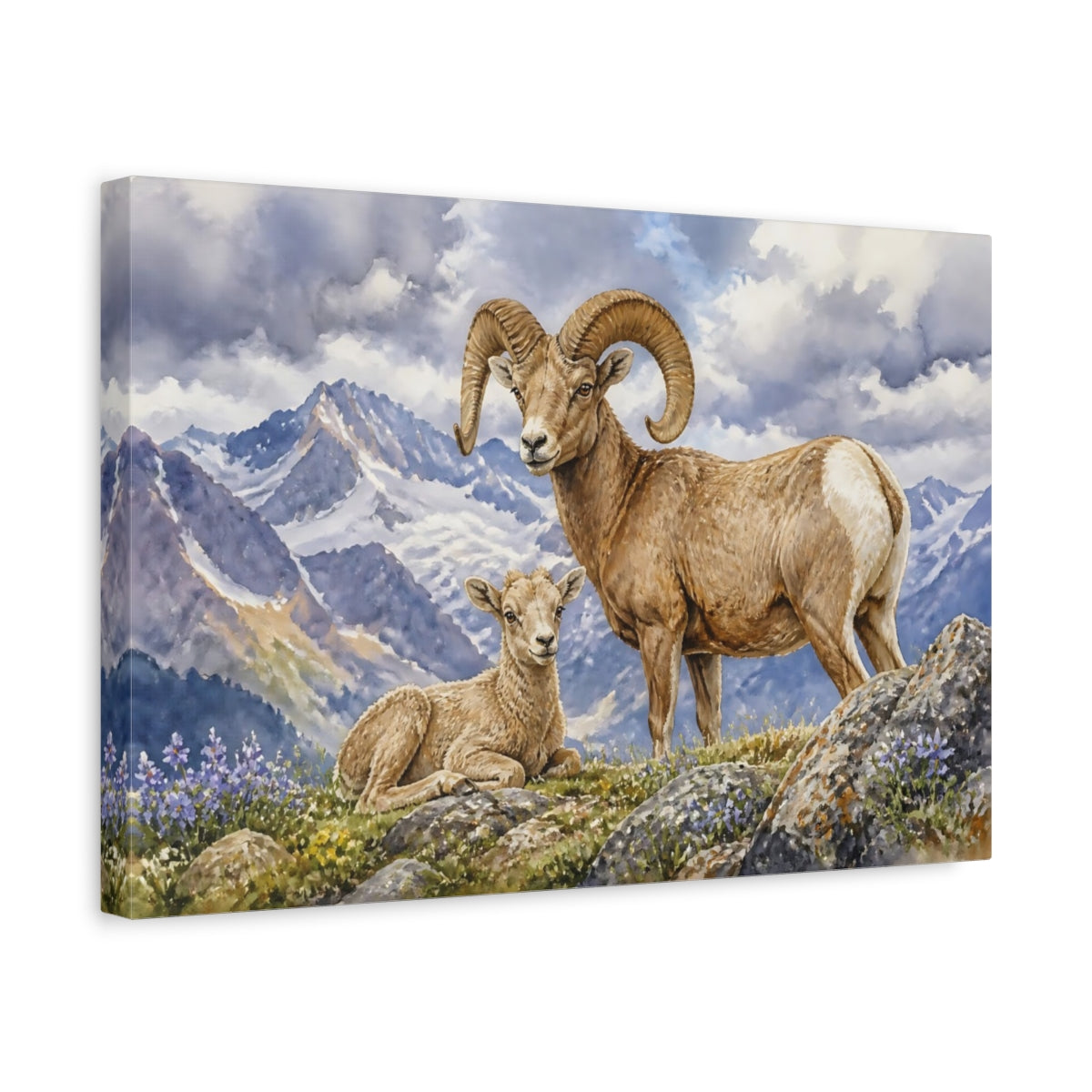 Side Mockup 4. Animals Bighorn Sheep In Alps shown as canvas print