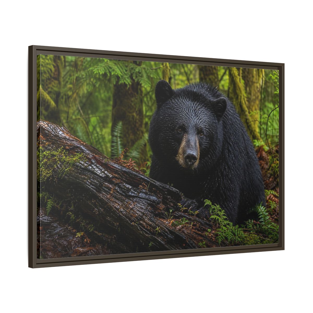 Main Mockup. Animals Black Bear Black Bear Forest shown as stretched canvas wall art