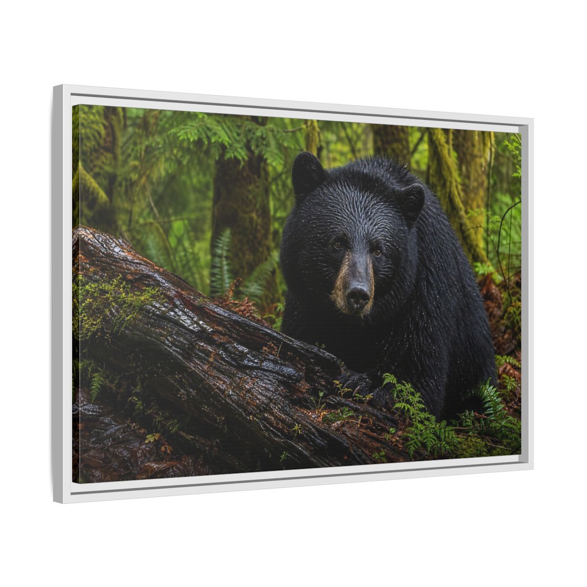 Side Mockup 10. Animals Black Bear Black Bear Forest shown as stretched canvas wall art