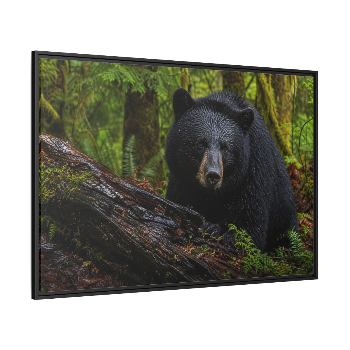 Side Mockup 12. Animals Black Bear Black Bear Forest shown as stretched canvas wall art