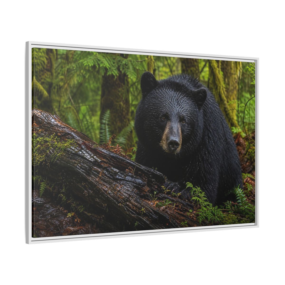 Side Mockup 7. Animals Black Bear Black Bear Forest shown as stretched canvas wall art