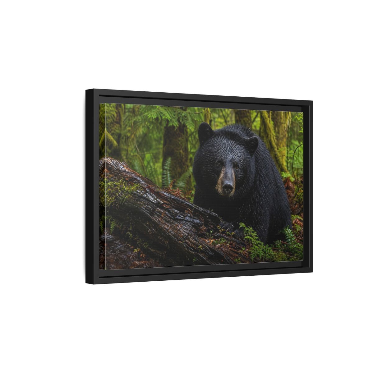 Side Mockup 6. Animals Black Bear Black Bear Forest shown as stretched canvas wall art