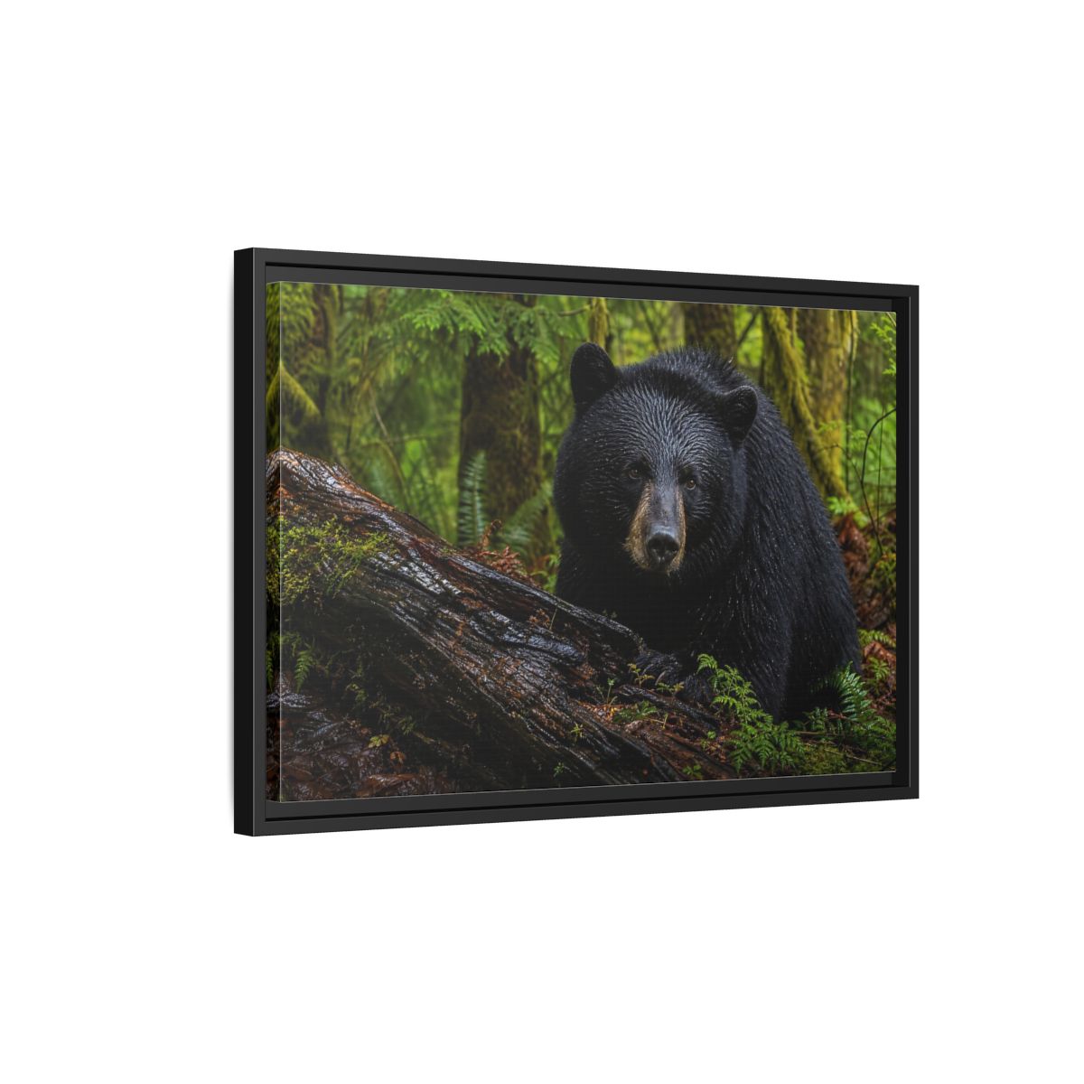 Side Mockup 3. Animals Black Bear Black Bear Forest shown as stretched canvas wall art