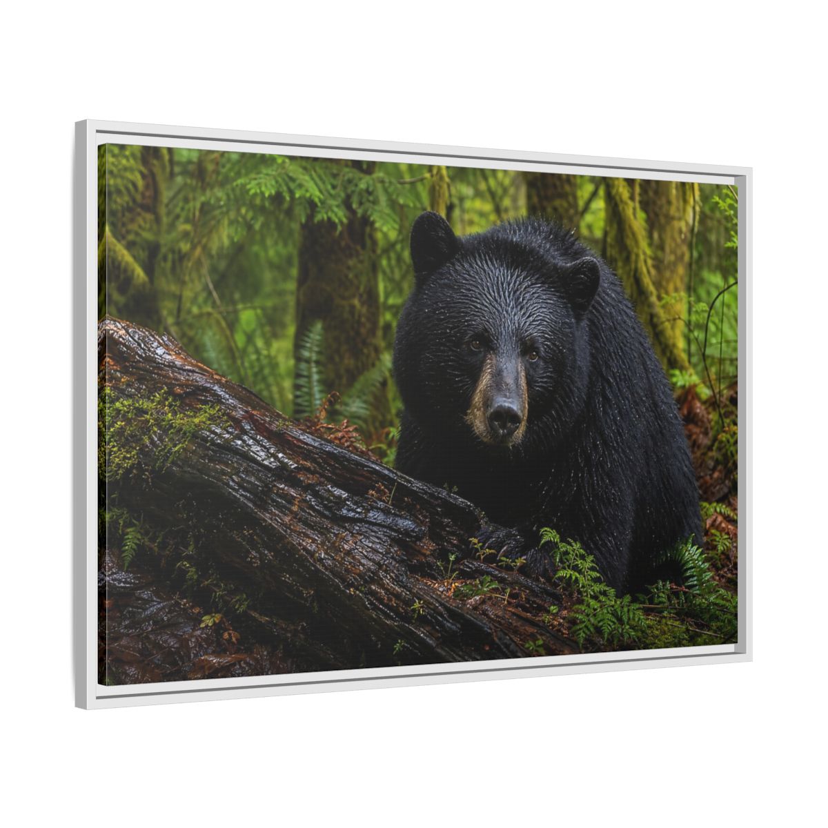 Side Mockup 9. Animals Black Bear Black Bear Forest shown as stretched canvas wall art