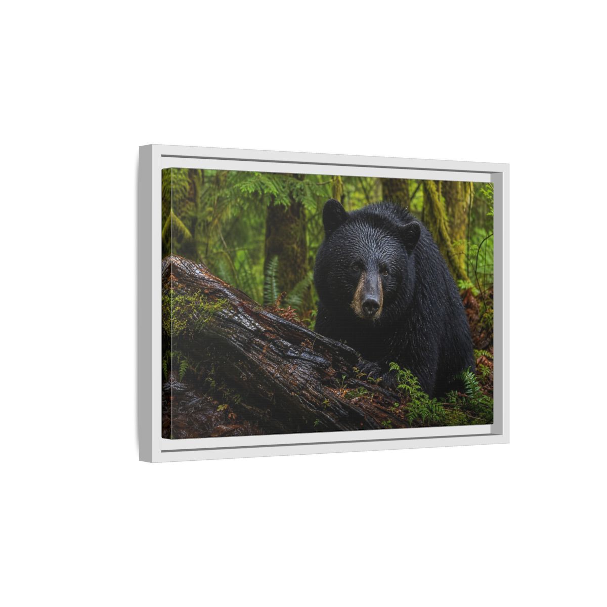 Side Mockup 4. Animals Black Bear Black Bear Forest shown as stretched canvas wall art