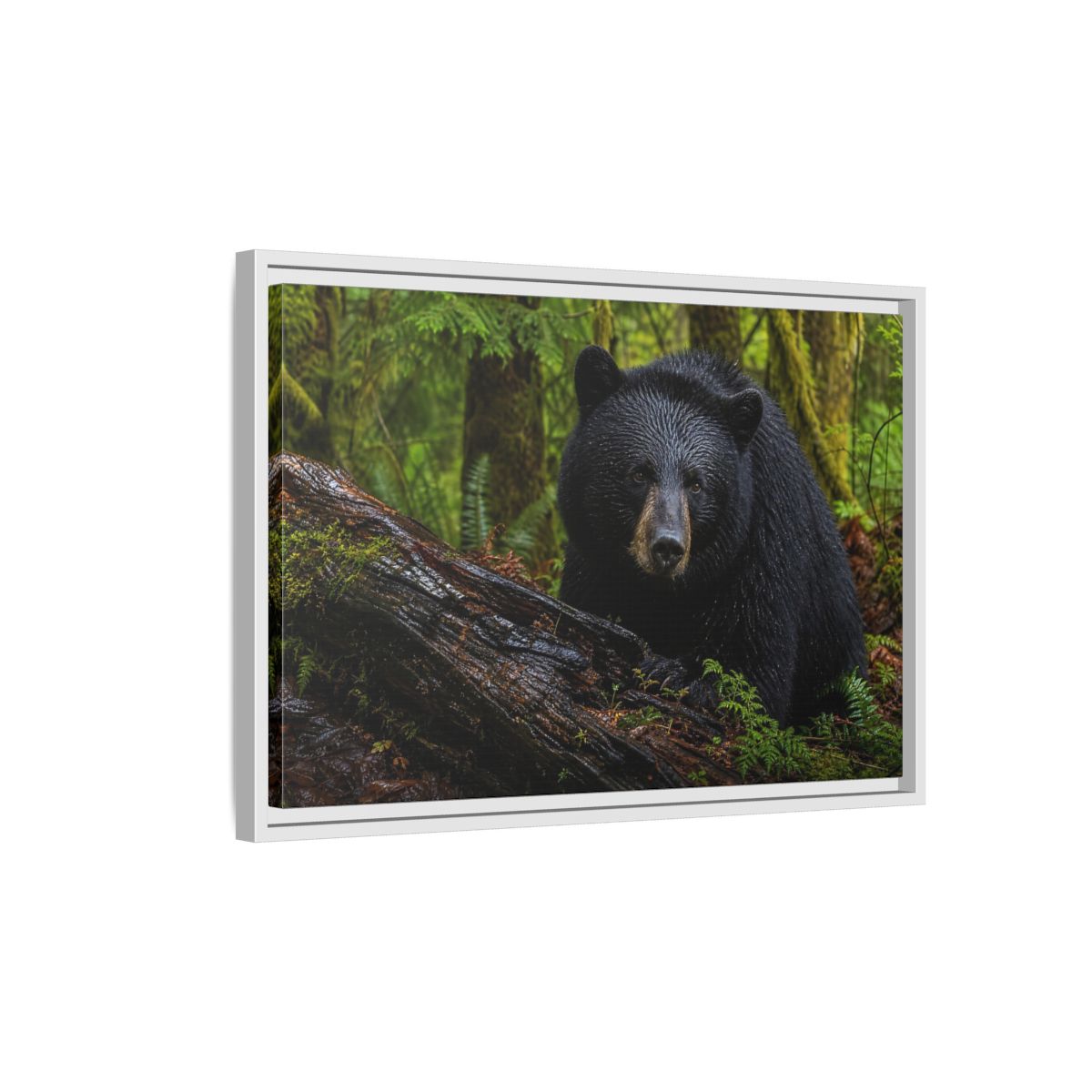 Side Mockup 1. Animals Black Bear Black Bear Forest shown as stretched canvas wall art