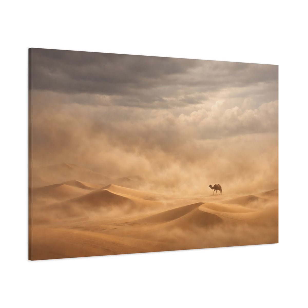 Animals Desert Camel Sandstorm - Canvas Wall Art Print - YesArtYes