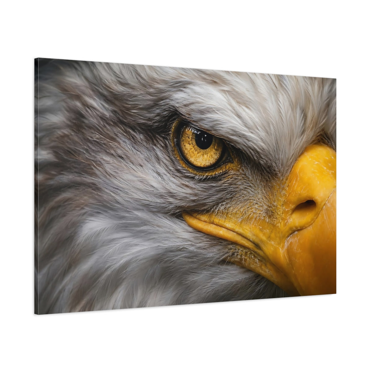 Side Mockup 1. Animals Eagle Gray And Gold Eagle shown as stretched canvas wall art