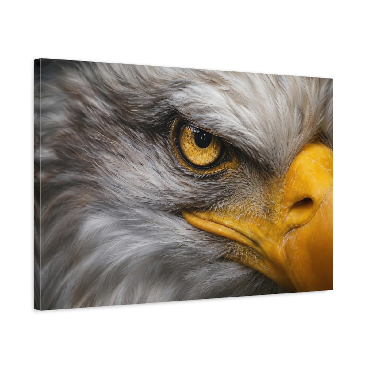 Side Mockup 2. Animals Eagle Gray And Gold Eagle shown as stretched canvas wall art