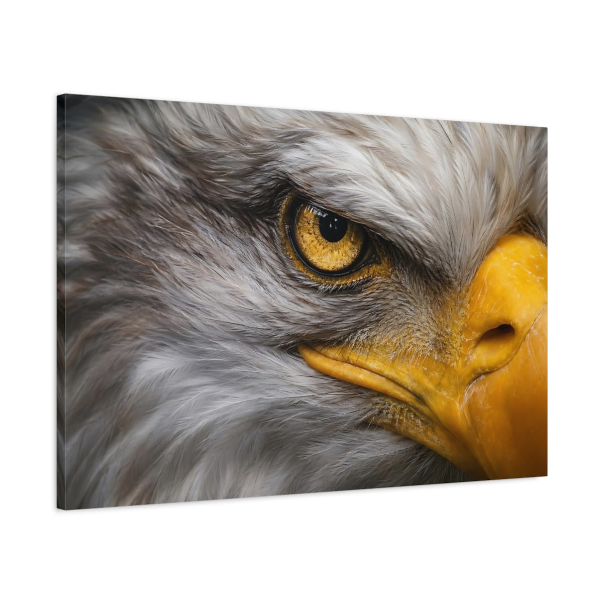 Main Mockup. Animals Eagle Gray And Gold Eagle shown as stretched canvas wall art