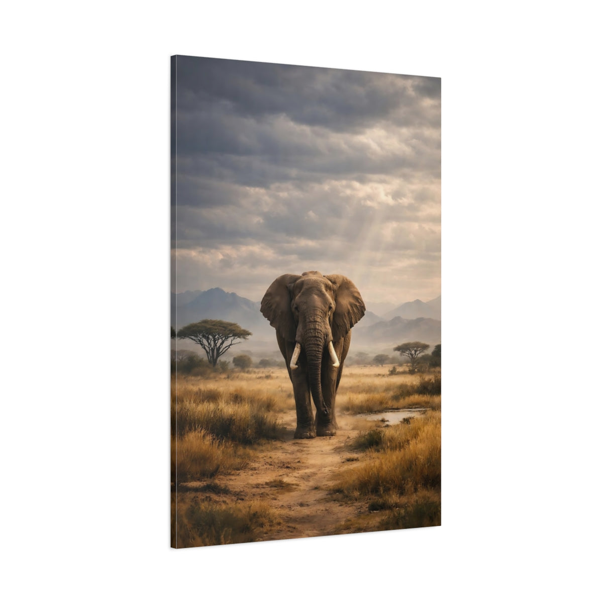 Main Mockup. Animals Elephant Earthy Elephant shown as stretched canvas wall art