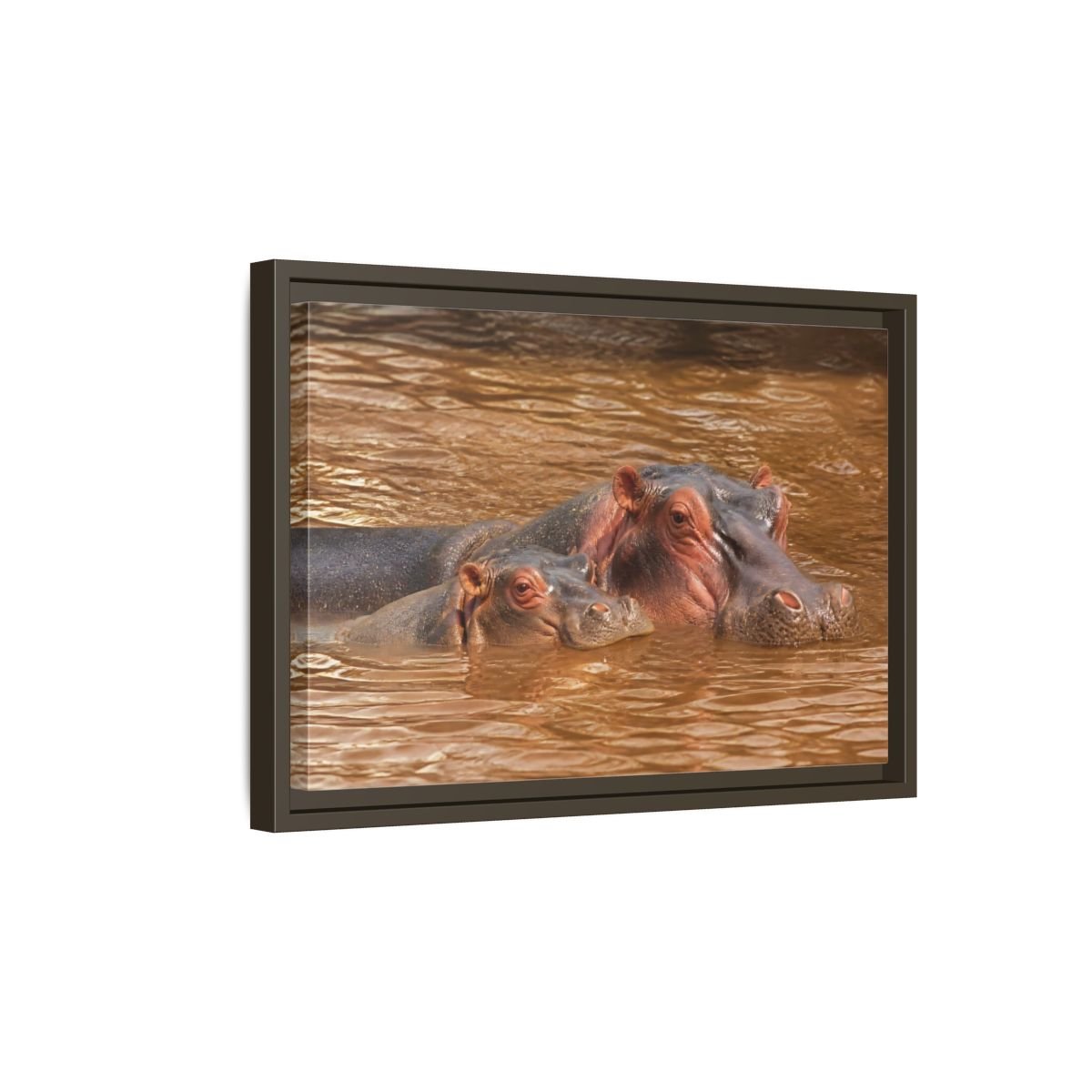 Animals Hippos Brown Framed Canvas Print – Realistic Living Room, Above Couch - YesArtYes