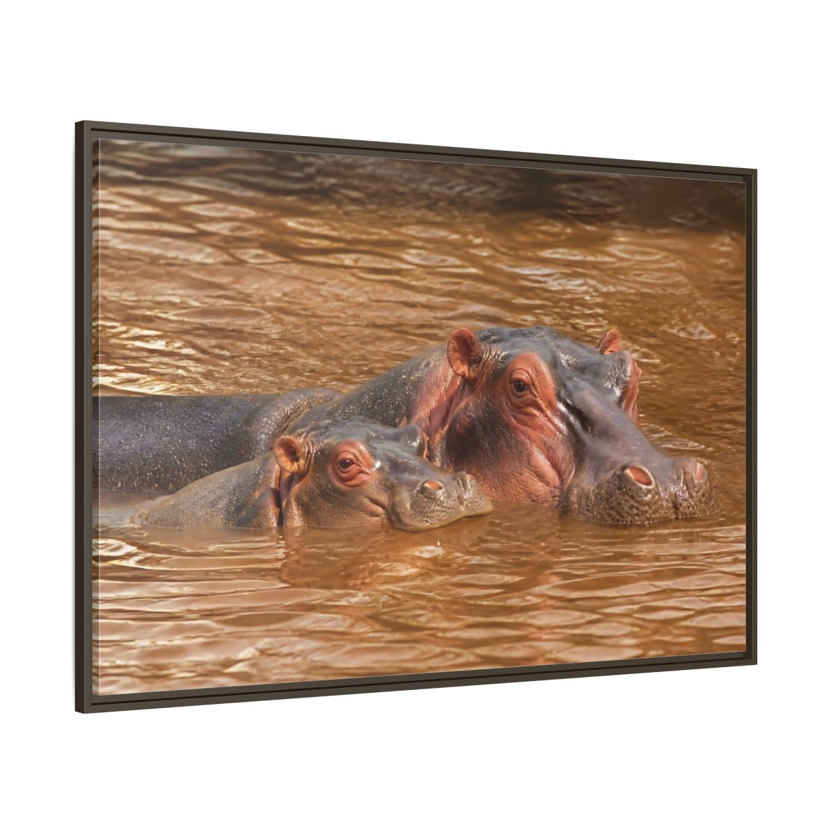 Animals Hippos Brown Framed Canvas Print – Realistic Living Room, Above Couch - YesArtYes
