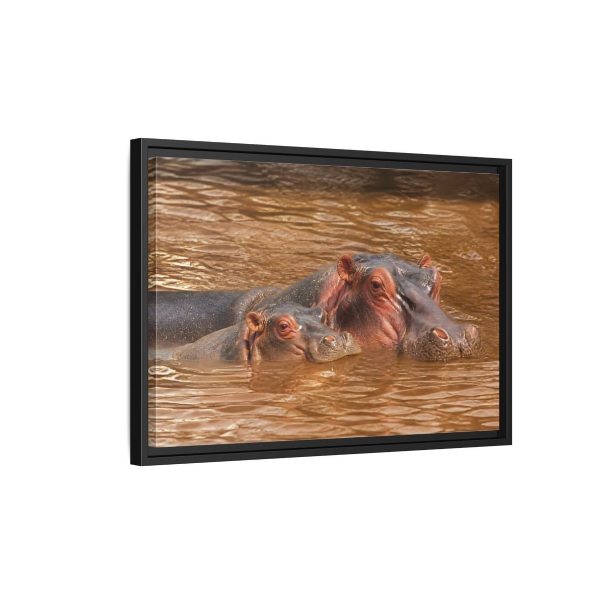 Animals Hippos Brown Framed Canvas Print – Realistic Living Room, Above Couch - YesArtYes