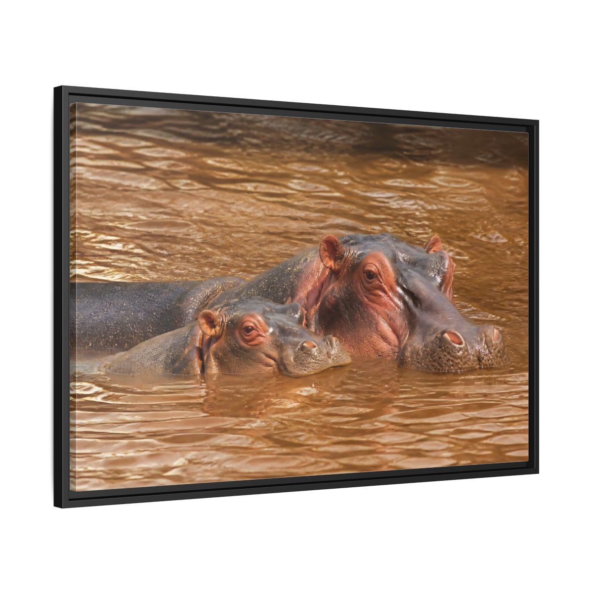 Animals Hippos Brown Framed Canvas Print – Realistic Living Room, Above Couch - YesArtYes