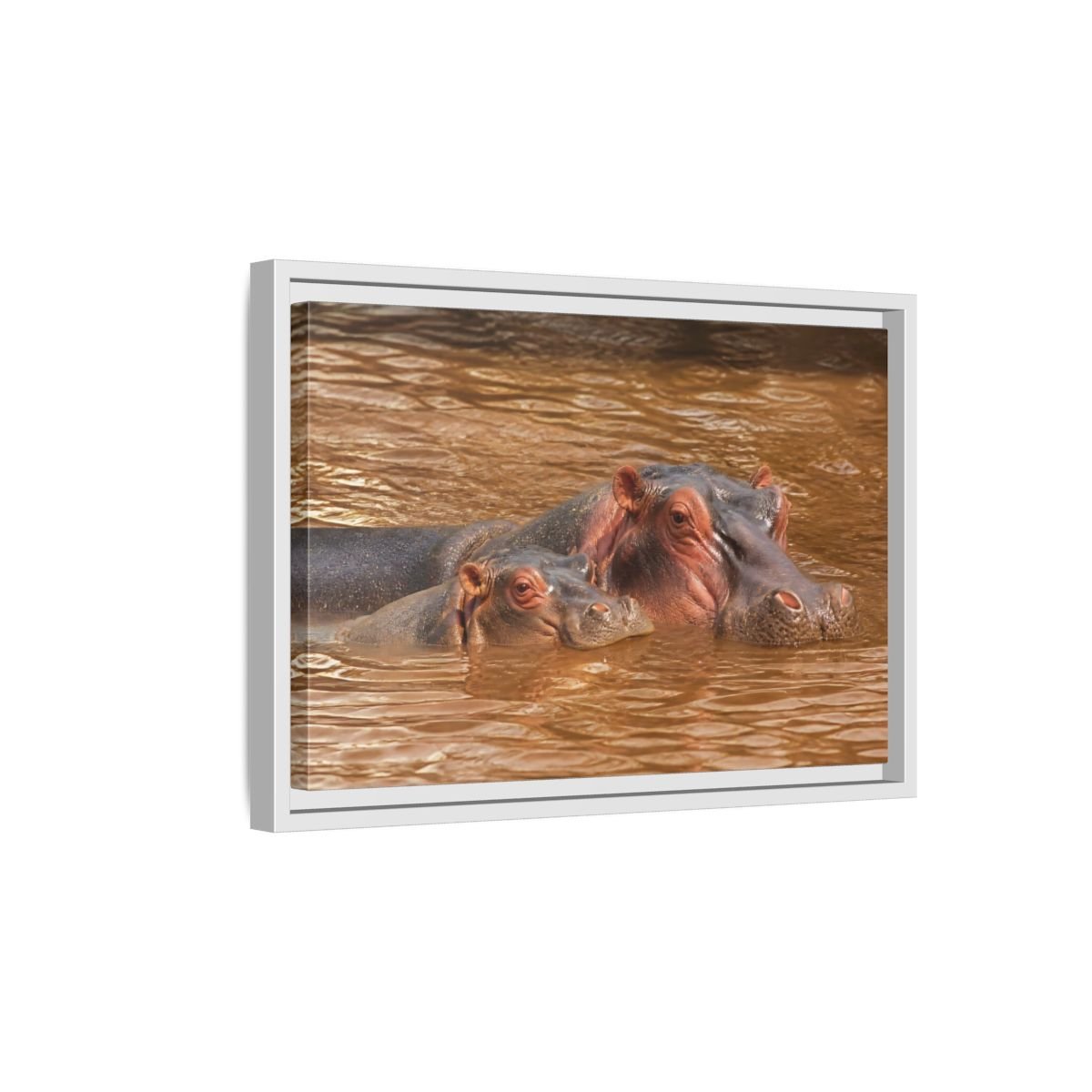 Animals Hippos Brown Framed Canvas Print – Realistic Living Room, Above Couch - YesArtYes