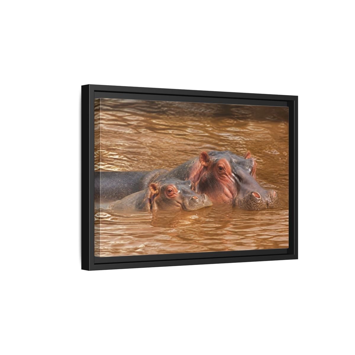 Animals Hippos Brown Framed Canvas Print – Realistic Living Room, Above Couch - YesArtYes