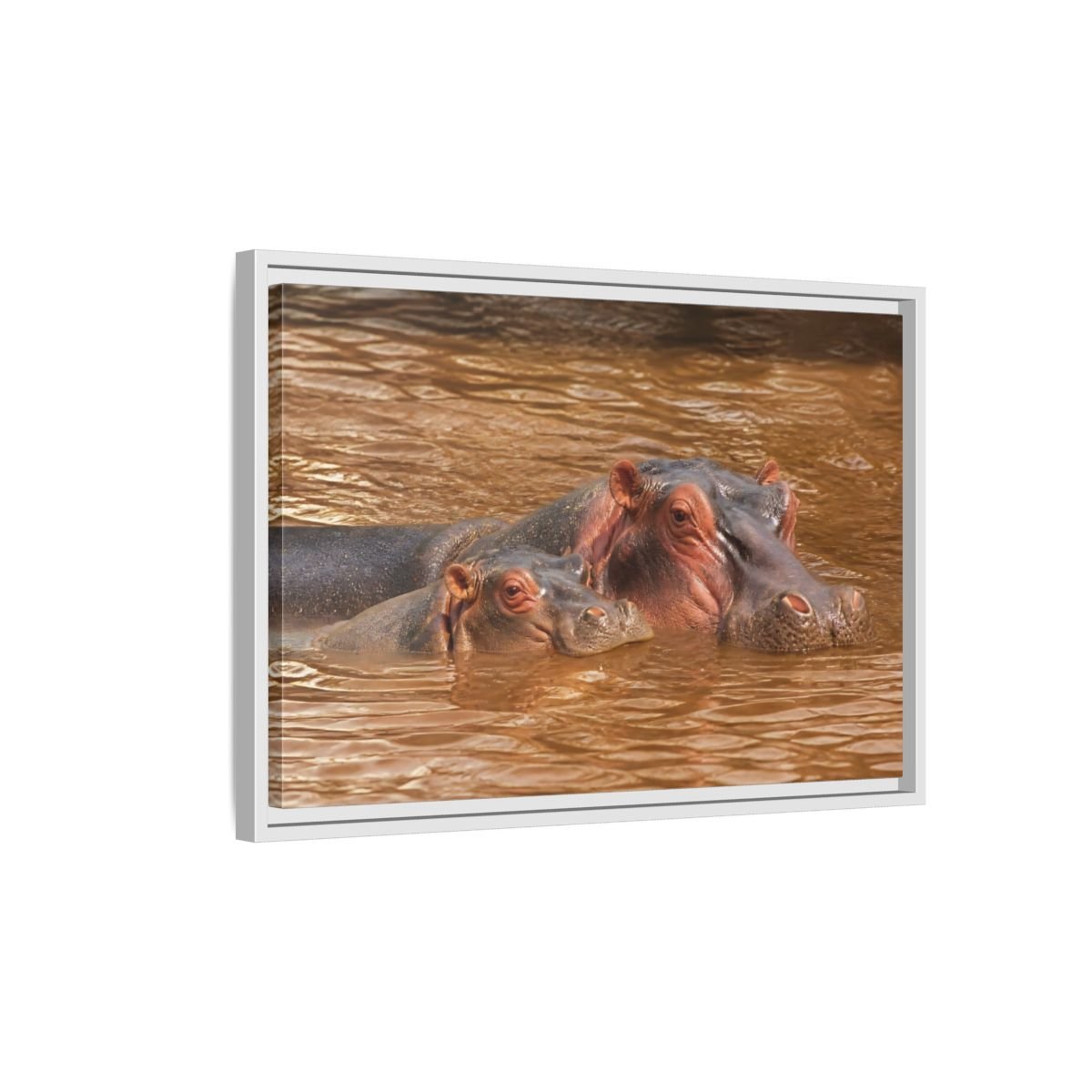 Animals Hippos Brown Framed Canvas Print – Realistic Living Room, Above Couch - YesArtYes