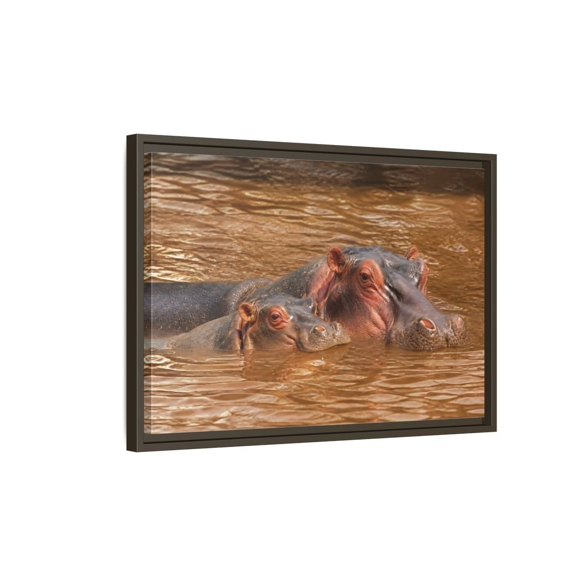 Animals Hippos Brown Framed Canvas Print – Realistic Living Room, Above Couch - YesArtYes
