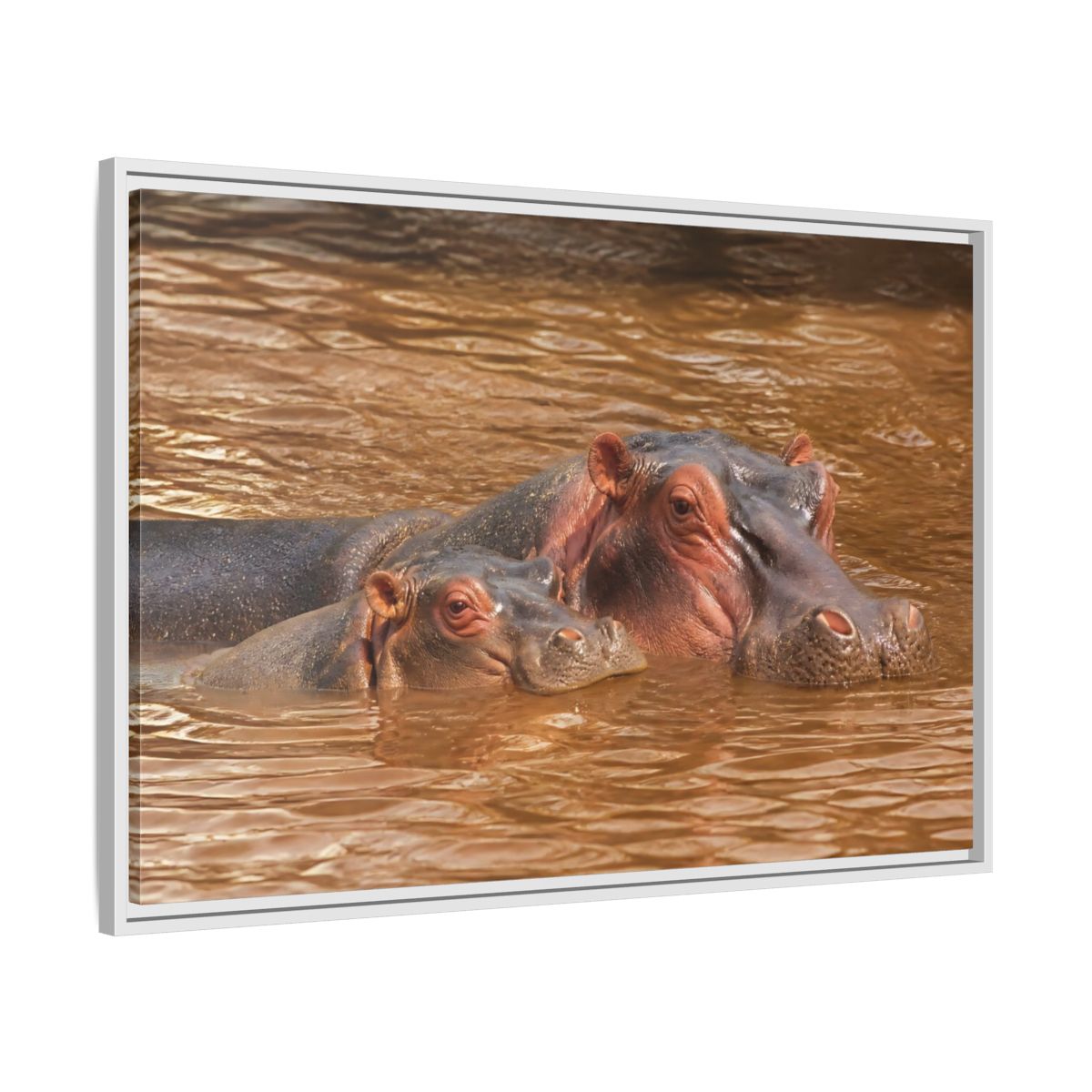 Animals Hippos Brown Framed Canvas Print – Realistic Living Room, Above Couch - YesArtYes
