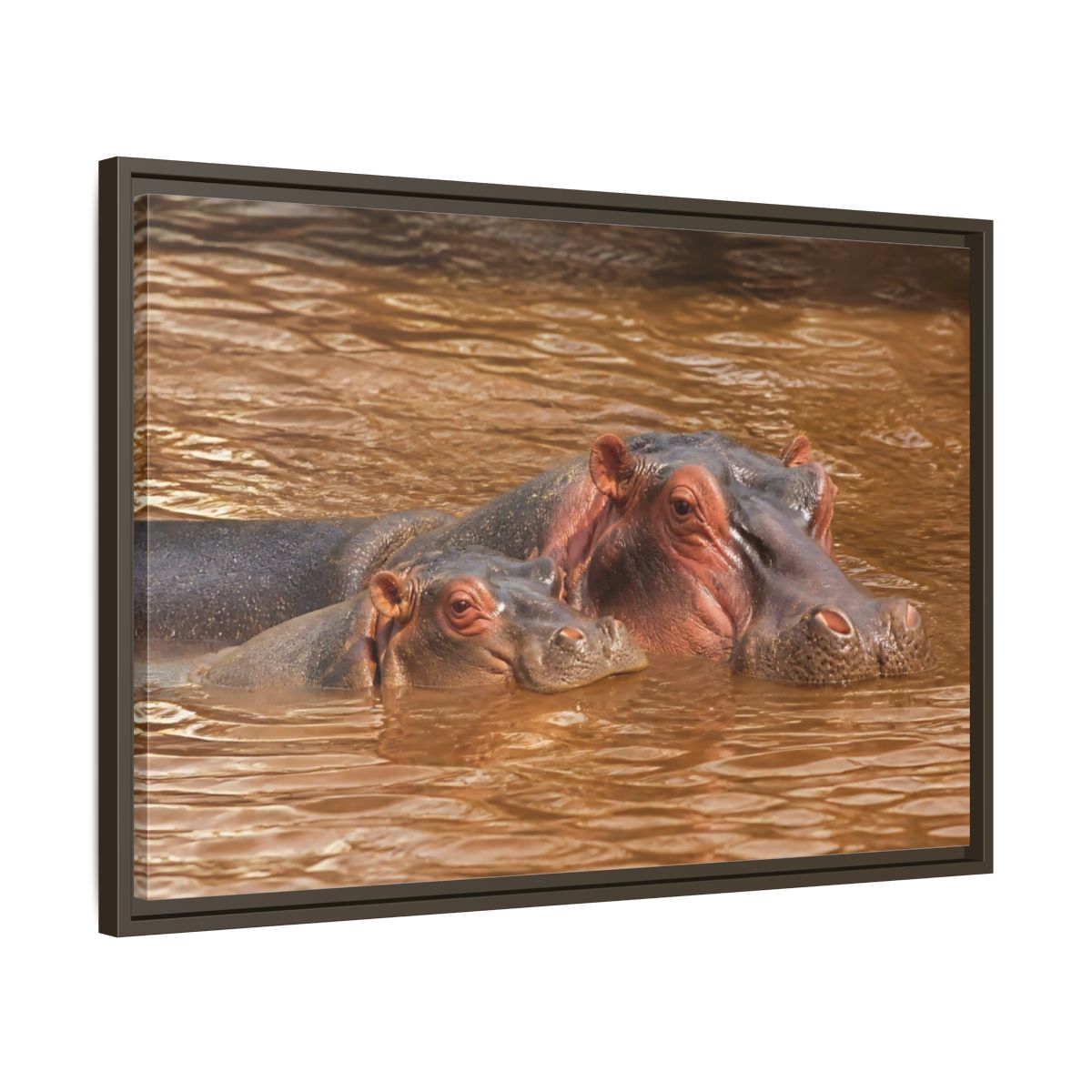 Animals Hippos Brown Framed Canvas Print – Realistic Living Room, Above Couch - YesArtYes