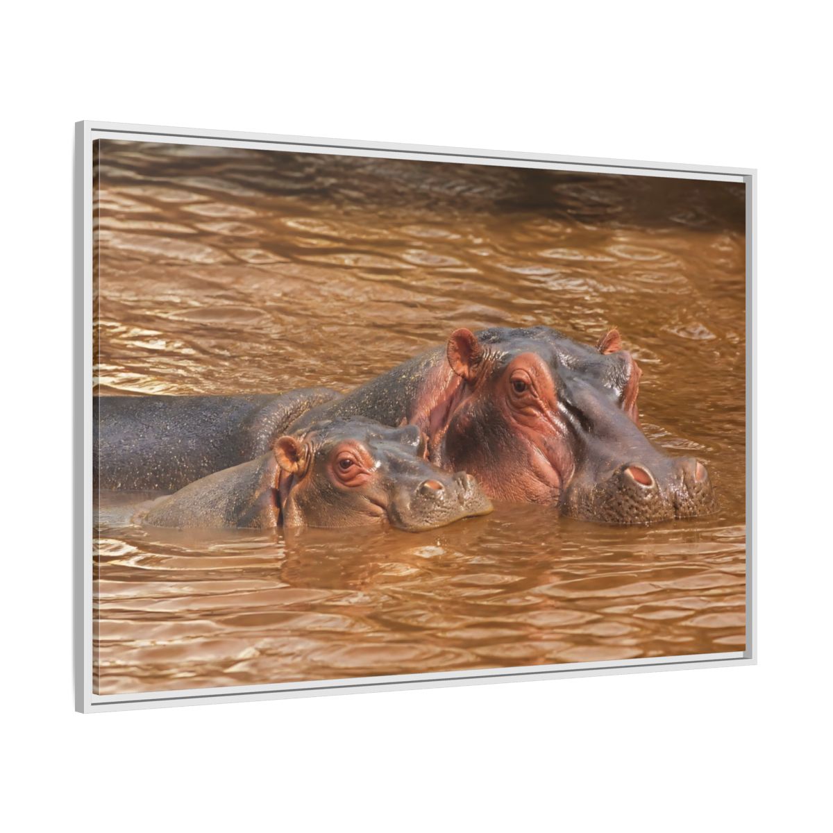 Animals Hippos Brown Framed Canvas Print – Realistic Living Room, Above Couch - YesArtYes