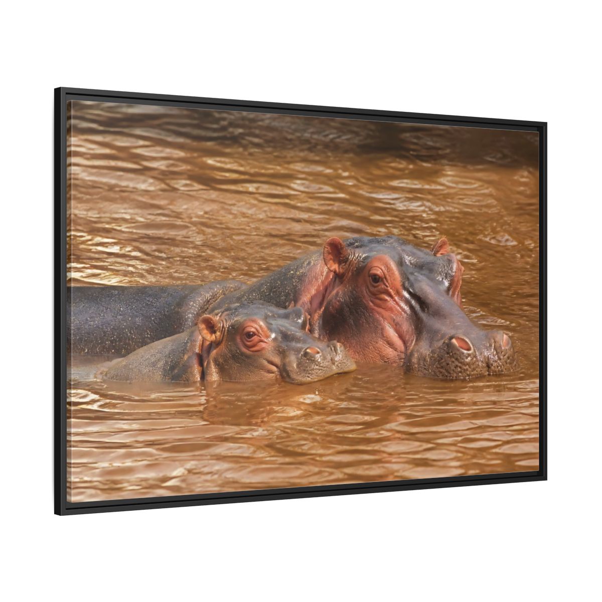 Animals Hippos Brown Framed Canvas Print – Realistic Living Room, Above Couch - YesArtYes