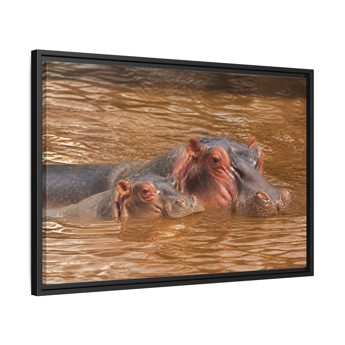 Animals Hippos Brown Framed Canvas Print – Realistic Living Room, Above Couch - YesArtYes