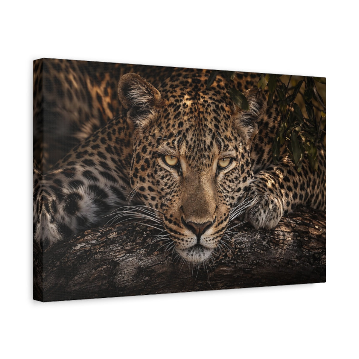 Side Mockup 4. Animals Leopard Leopard Portrait shown as stretched canvas wall art