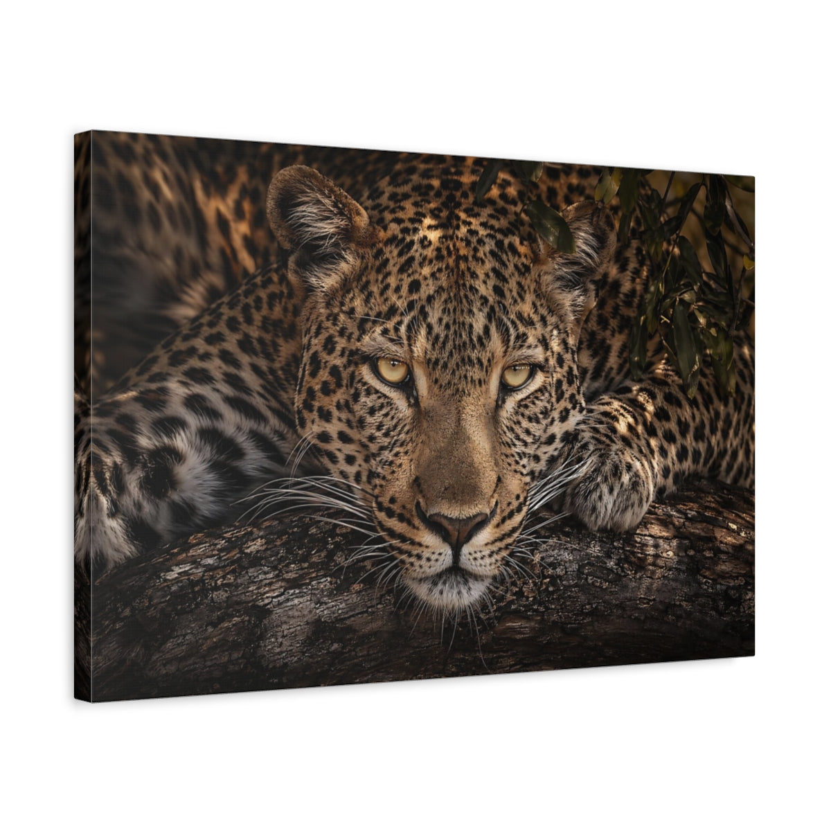 Side Mockup 3. Animals Leopard Leopard Portrait shown as stretched canvas wall art