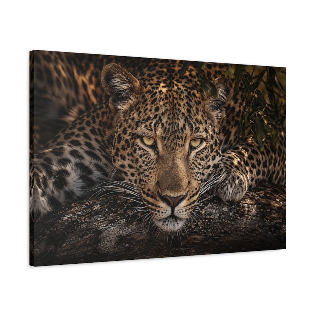 Side Mockup 2. Animals Leopard Leopard Portrait shown as stretched canvas wall art