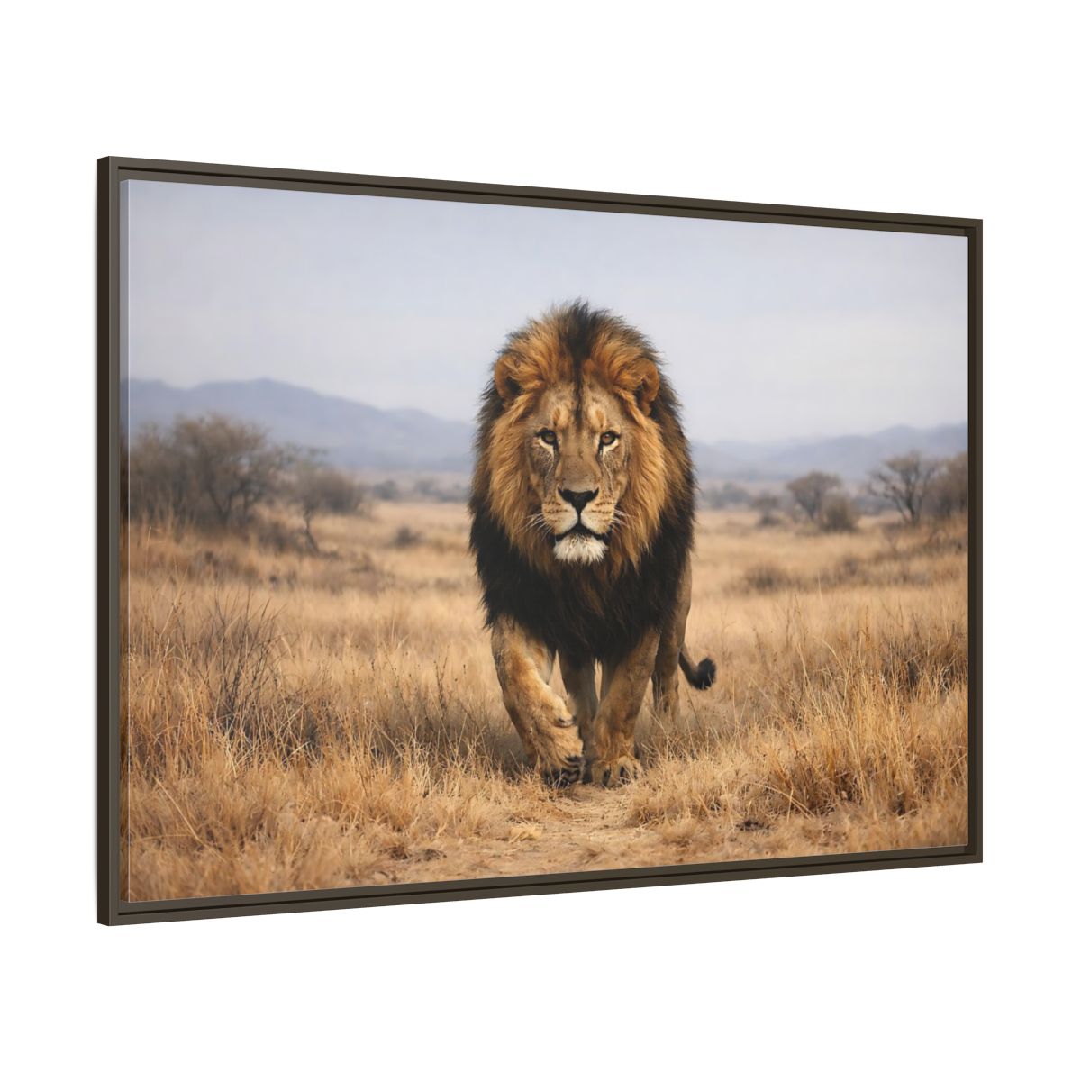 Main Mockup. Animals Lion Brown And Black shown as stretched canvas wall art