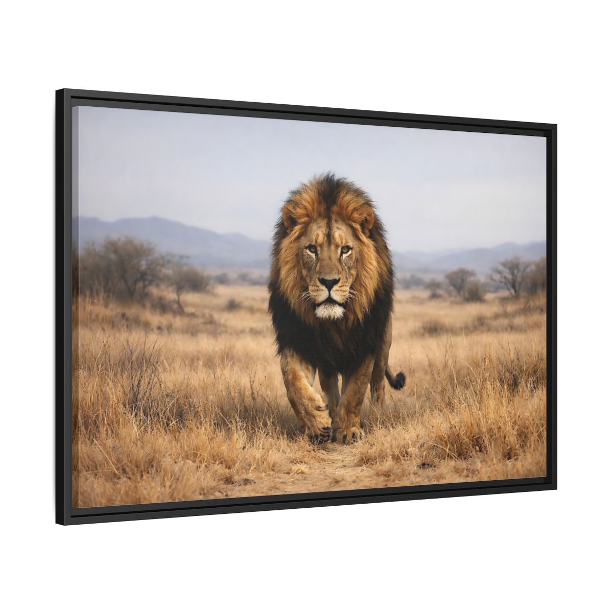 Side Mockup 13. Animals Lion Brown And Black shown as stretched canvas wall art