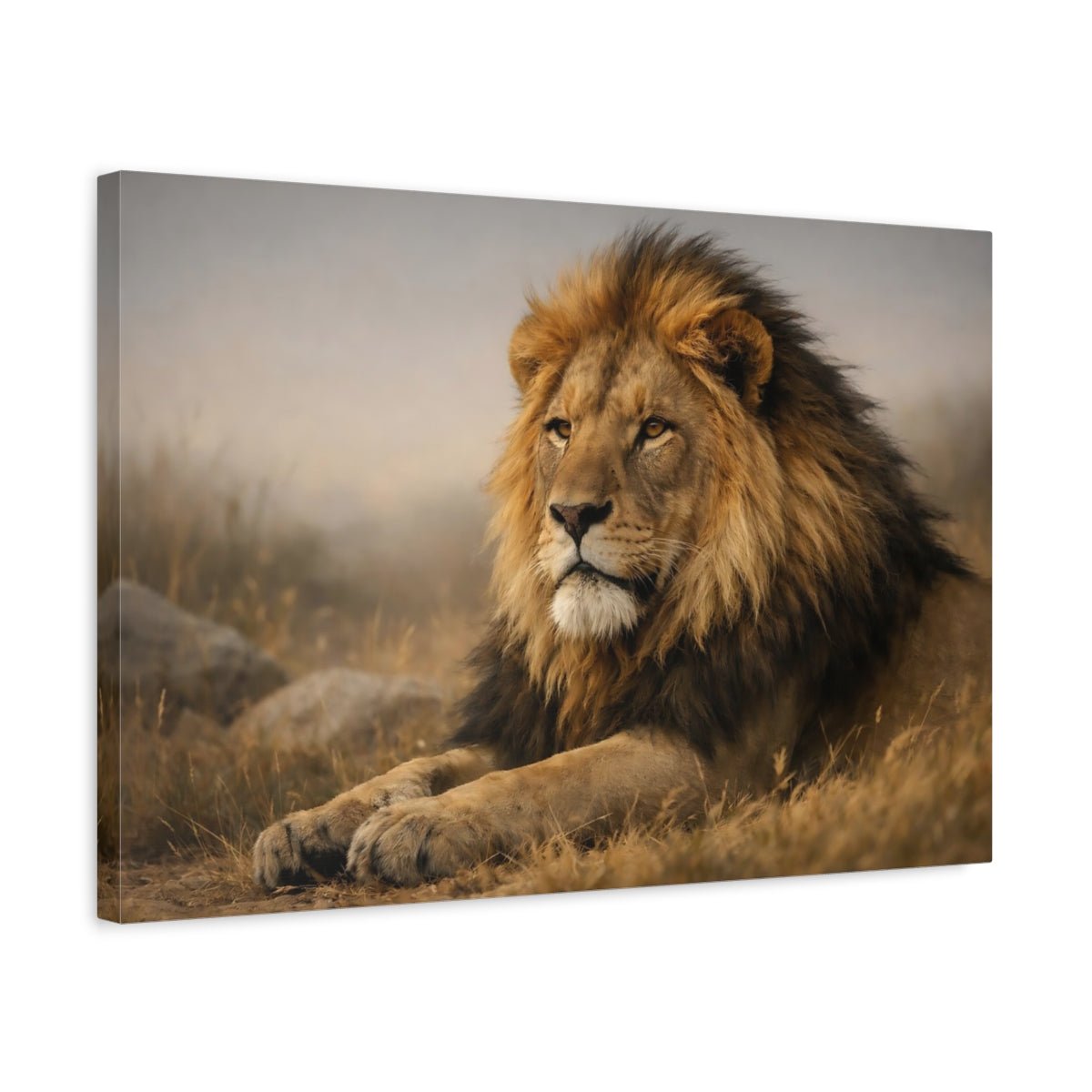Animals Lion Brown And Gold - Canvas Wall Art Print - YesArtYes